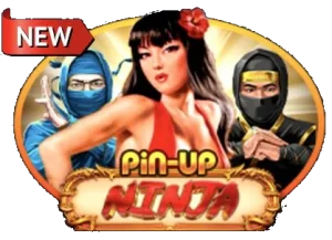 ninja pin up casino